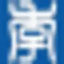 FEDU logo
